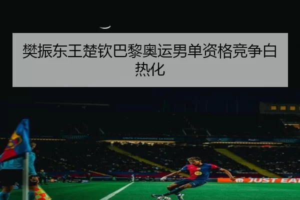 樊振东王楚钦巴黎奥运男单资格竞争白热化 - MKSports