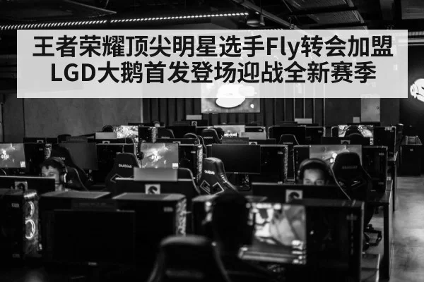 王者荣耀顶尖明星选手Fly转会加盟LGD大鹅首发登场迎战全新赛季（MKSports）