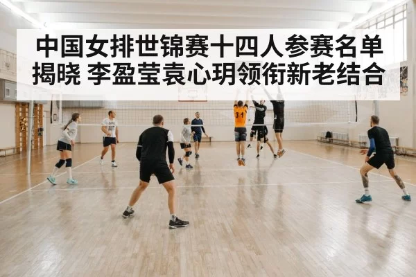 volleyball block